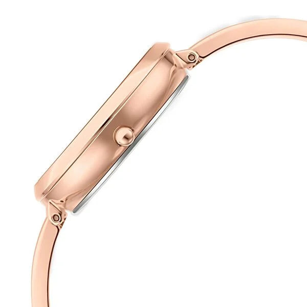 Titan 2647WM01 | Titan Raga Viva Quartz Analog Rose Gold Dial Rose Gold Metal Strap Watch For Women