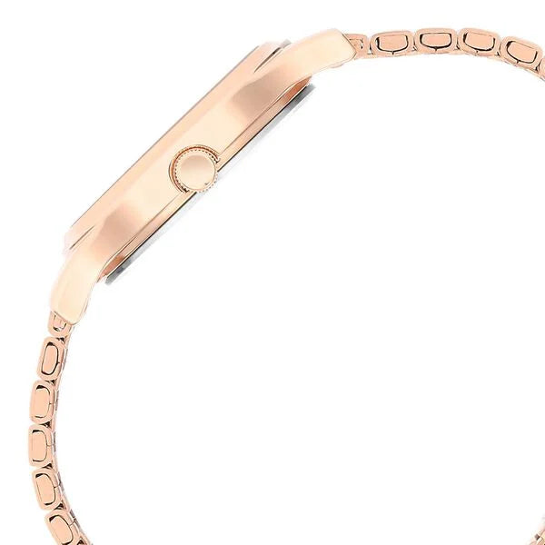 Titan 2679WM01 | Titan Karishma Brown Dial Metal Strap Watch for Women