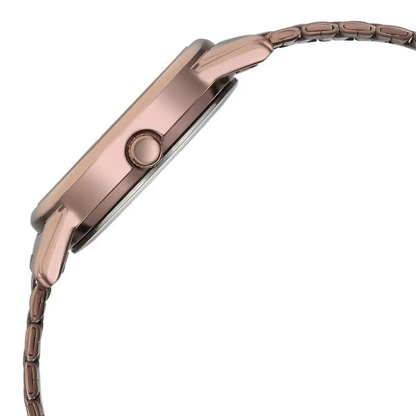Titan 2760QM01 | Titan Karishma Quartz Analog Beige Dial Brown Stainless Steel Strap Watch For Women