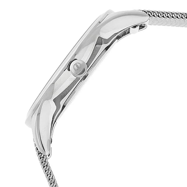 Titan 95035SM01 | Titan Quartz Analog Silver Dial Stainless Steel Strap Watch for Women