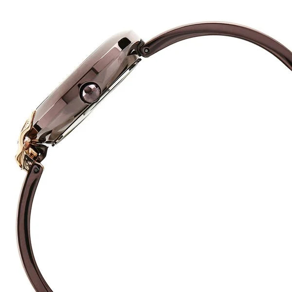 Titan 95051KM01 | Titan Raga Espana Brown Dial Analog Metal Strap watch for Women