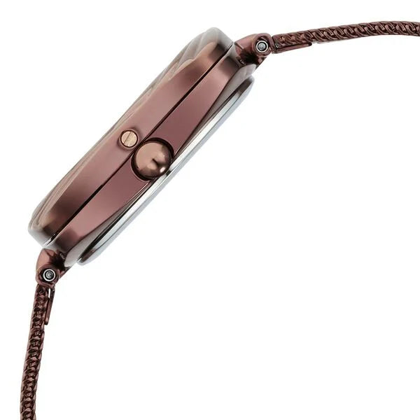 Titan 95139QM02 | Titan Raga Moments of Joy Brown Dial Analog Stainless Steel Strap Watch for Women