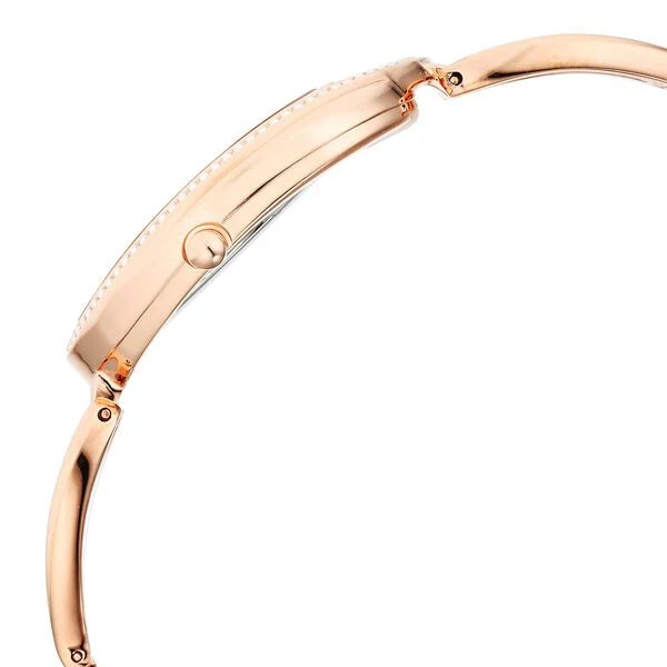 Titan 95197WM01 | Titan Raga Delight Brown Dial Analog Stainless Steel Strap Watch for Women
