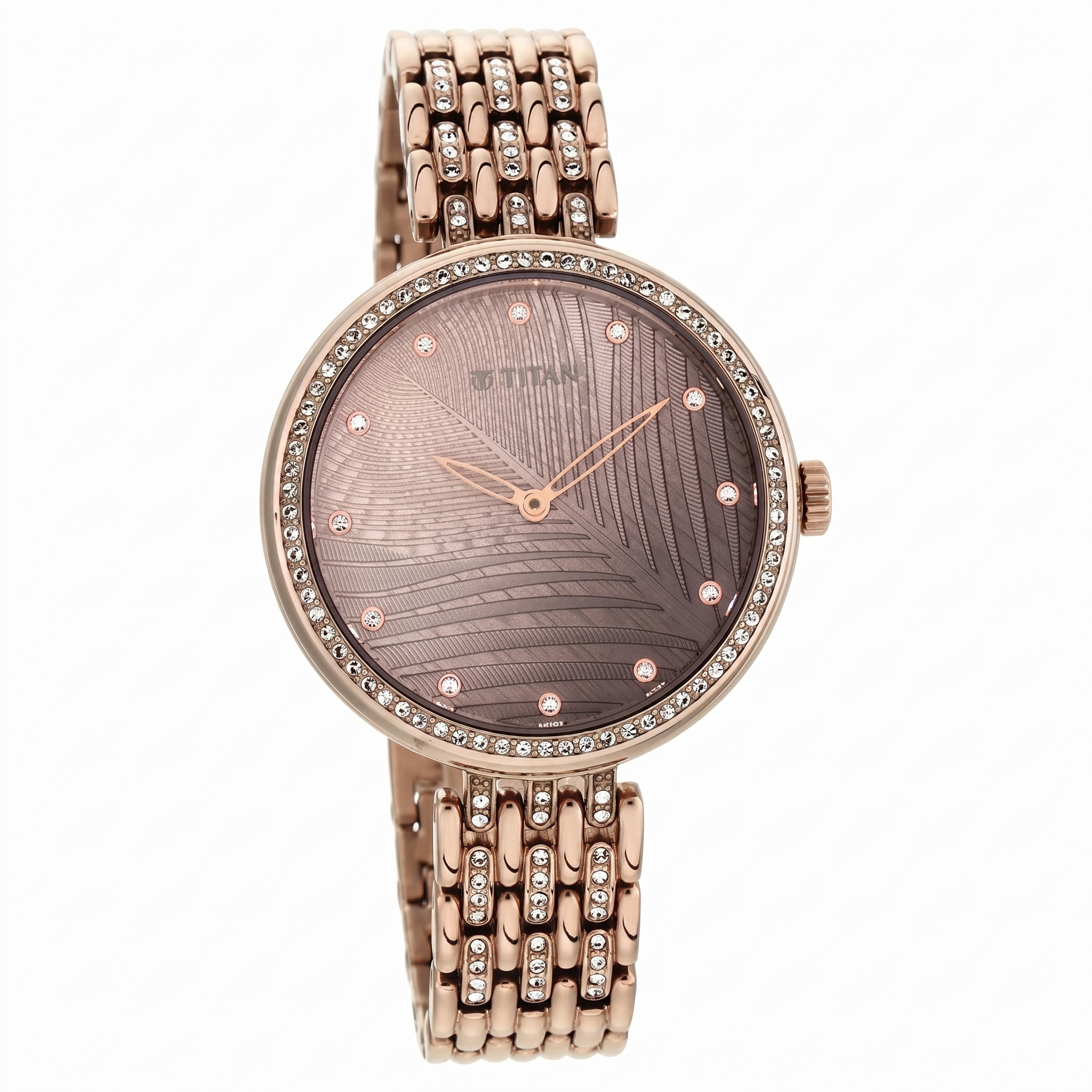 Titan 95129QM01 | Titan Animalia Brown Dial Analog Stainless Steel Strap watch for Women